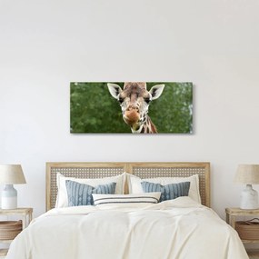 Tablou cu girafa (120x50 cm)