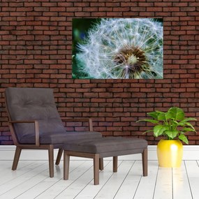 Tabloul cu păpădie desflorit (90x60 cm)