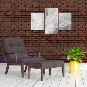 Tablou - Iarbă de pampas N⁰1 (90x60 cm)