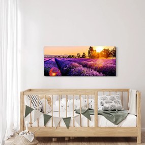 Tablou cu câmp de lavandă, Provincie (120x50 cm)