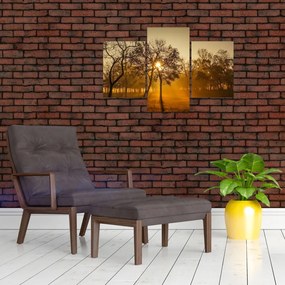 Tablou - Răsărit de soare (90x60 cm)