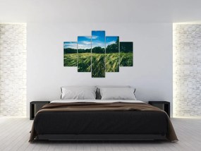 Tablou cu linca și pădure (150x105 cm)