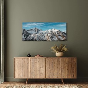 Tablou cu vârfuri înzăpeziți, Fiordland (120x50 cm)
