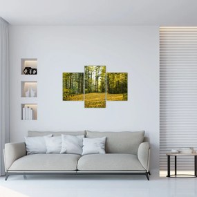 Tablou - pădurea toamna (90x60 cm)