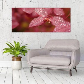 Tablou - Imagine macro a biletului (120x50 cm)