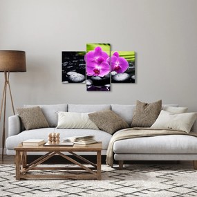 Tablou - Orhidee (90x60 cm)