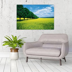 Tablou - Câmp cu alei (90x60 cm)