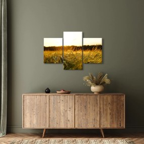 Tablou iarba cu rouă (90x60 cm)