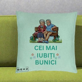 Cadou pentru Bunici - Perna Personalizata Cei Mai Iubiti Bunici Cuplu pe Banca Ilustratie, 40x40 cm, Verde Menta, Husa Detasabila, Perna Inclusa, BEKZ®