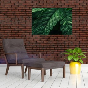 Tablou - Detaliu al foii (90x60 cm)