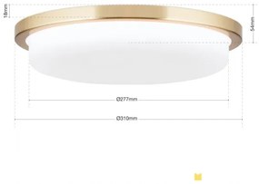 Plafoniera LED moderna LEROX 30cm alama mat
