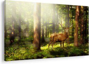 Tablou cu cerbul în pădure (90x60 cm)