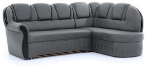 Coltar extensibil Lord pe dreapta Nube 6