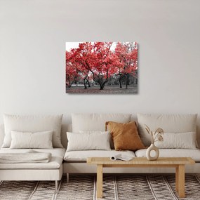Tablou pe sticlă - Copacii roșii, Central Park, New York (70x50 cm)