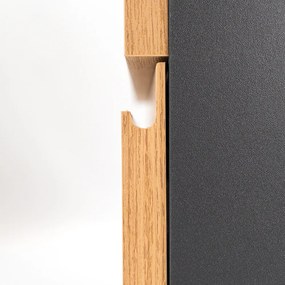 Vario Pull 120 dulap de bază cu chiuvetă stejar antracit