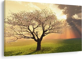 Tablou cu copac pe luncă (90x60 cm)