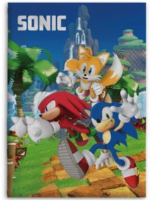 Sonic Ariciul Speedy Dreams Pătură polară 100x140cm