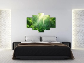 Tablou - Pădurea tropicală (150x105 cm)