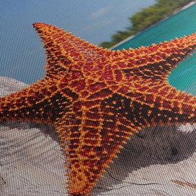 Tablou cu stea de mare (cu ceas) (90x30 cm)