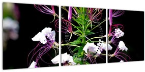 Tablou cu floare (cu ceas) (90x30 cm)