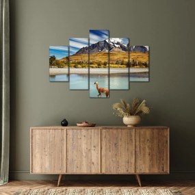 Tablou - Parcul Național Torres del Paine (150x105 cm)
