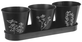 Ghivece 3 buc. din metal pentru ierburi aromatice ø 11 cm Black – Orion