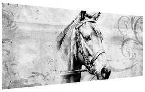 Tablou - porttret de cal (120x50 cm), în 40 de alte dimensiuni noi