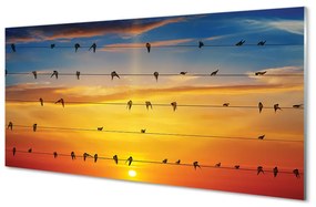 Tablouri acrilice Păsări pe apus de soare frânghii