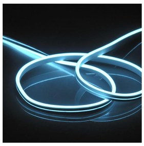 Bandă LED NEON 5m LED/40W/24V albastru IP65