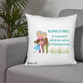 Cadou pentru Bunici - Perna Personalizata Bunicii Mei Comoara Iubire Intelepciune Nepoata, 40x40 cm, Alb Pufos, Husa Detasabila, Perna Inclusa, BEKZ®