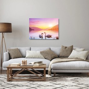 Tablou pe sticlă - Lebăde îndrăgostite (70x50 cm)