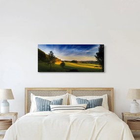 Tablou - Lunca de munte (120x50 cm)