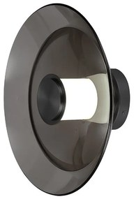Aplica de perete LED, Ambientala, Sticla Fumurie, 10W, ZB-25144