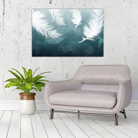 Tablou - Pene albe (90x60 cm)