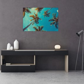 Tablou - Palmieri înalți (90x60 cm)