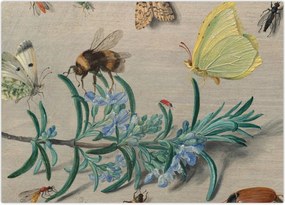 Tablou - Jan van Kessel the Elder, Insects and a Sprig of Rosemary, reproducere (70x50 cm)