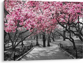 Tablou copacului magnolie (70x50 cm)