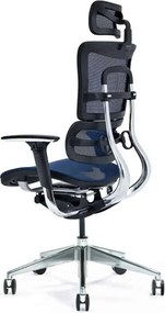 Scaun lemn masiv de birou ErgoComfort Plasă Respirabilă Albastru