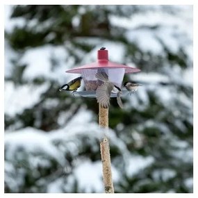 Hrănitor pentru păsări Finch, roşu