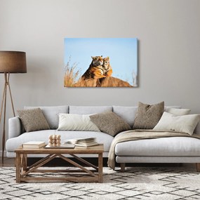 Tablou - Tigroaica cu pui (90x60 cm)