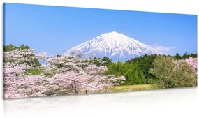 Tablou muntele Fuji