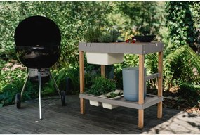 Pat ridicat de plante – Plastia