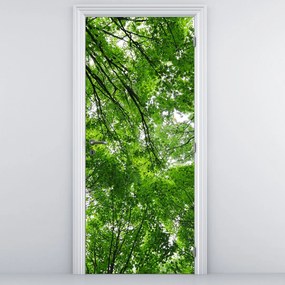 Fototapet pentru ușă - Coroana copacilor (95x205cm)