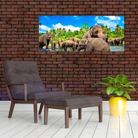 Tablou - Elefanți, Sri Lanka (120x50 cm)