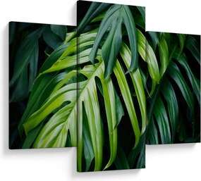 Tablou - Frunze tropicale (90x60 cm)