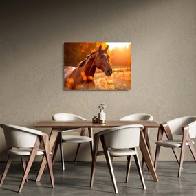 Tablou pe sticlă - Cal în apus de soare (70x50 cm)