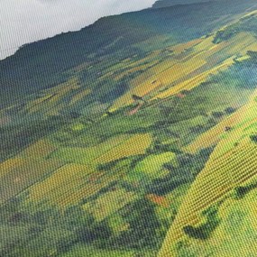 Tablou plantație (cu ceas) (90x30 cm)