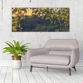 Tablou - Podgorii (120x50 cm)