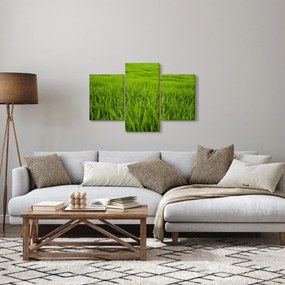 Tablou cu iaraba (90x60 cm)