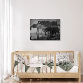 Tablou pe sticlă cu elefanți - albnegru (70x50 cm)